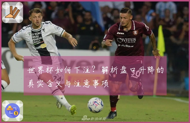 世界杯如何下注？解析盘口升降的真实含义与注意事项