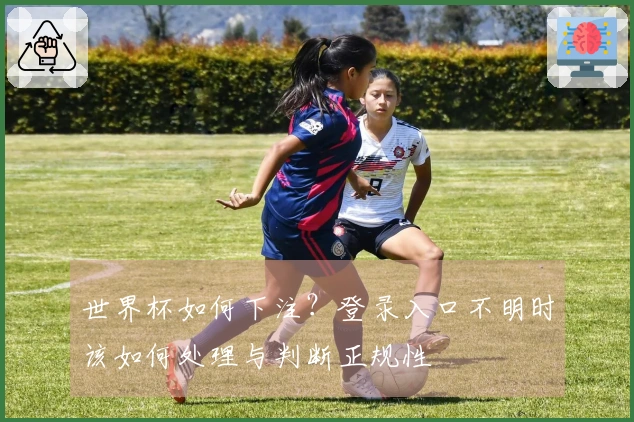 世界杯如何下注？登录入口不明时该如何处理与判断正规性