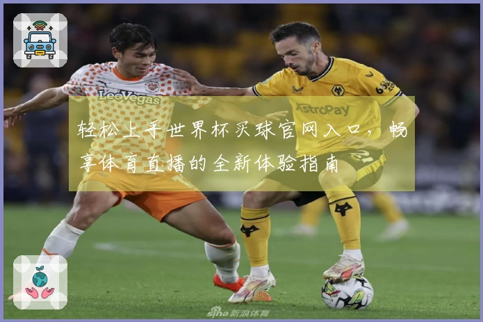 轻松上手世界杯买球官网入口，畅享体育直播的全新体验指南