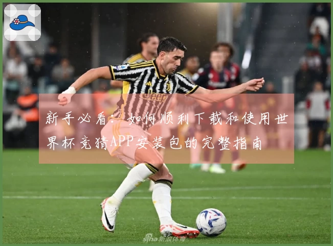 新手必看：如何顺利下载和使用世界杯竞猜APP安装包的完整指南