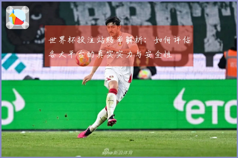 世界杯投注站赔率解析：如何评估各大平台的真实实力与安全性