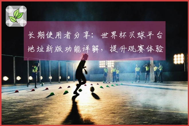 长期使用者分享：世界杯买球平台地址新版功能详解，提升观赛体验！