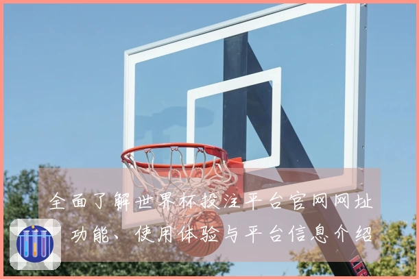 全面了解世界杯投注平台官网网址：功能、使用体验与平台信息介绍