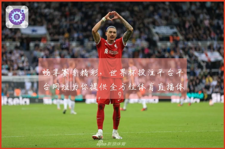 畅享赛季精彩，世界杯投注平台平台网址为你提供全方位体育直播体验