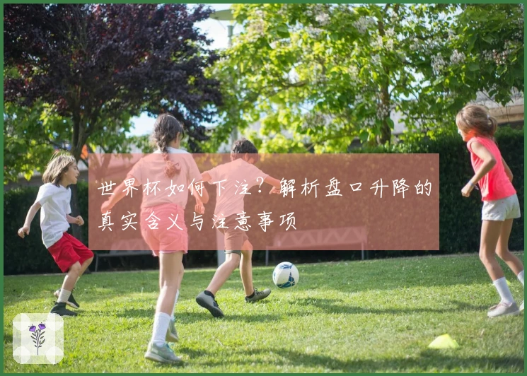 世界杯如何下注？解析盘口升降的真实含义与注意事项