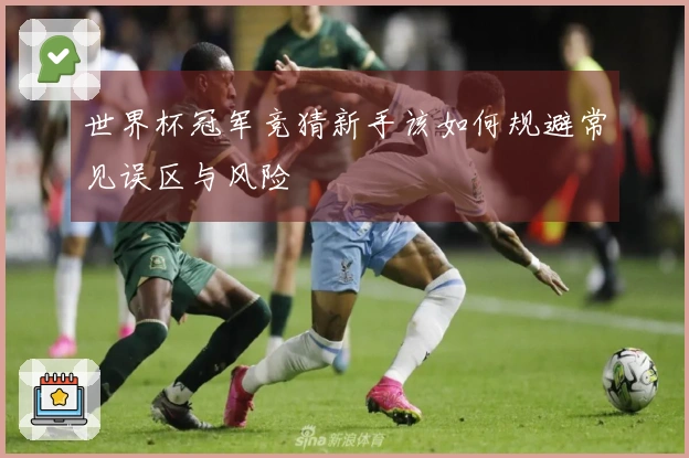 世界杯冠军竞猜新手该如何规避常见误区与风险