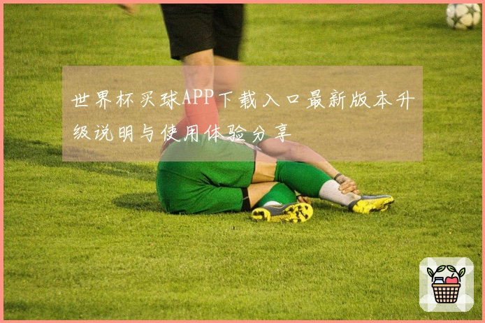 世界杯买球APP下载入口最新版本升级说明与使用体验分享
