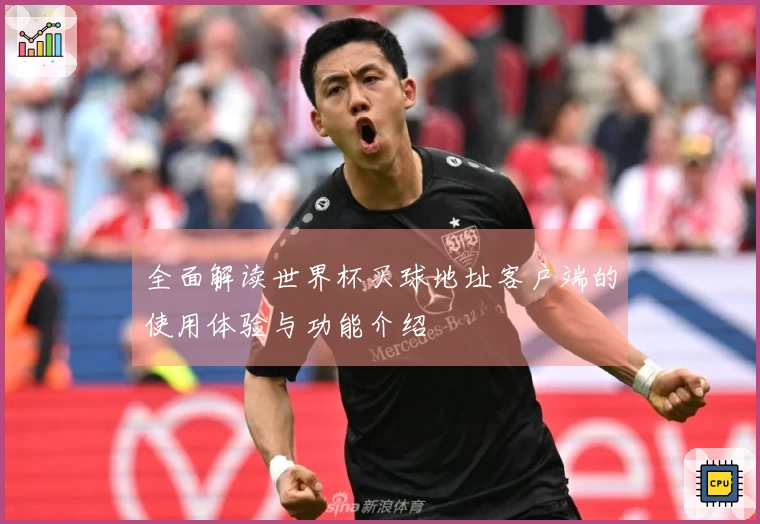 全面解读世界杯买球地址客户端的使用体验与功能介绍