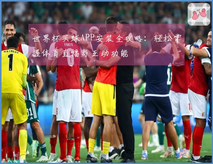 世界杯买球APP安装全攻略：轻松掌握体育直播与互动功能